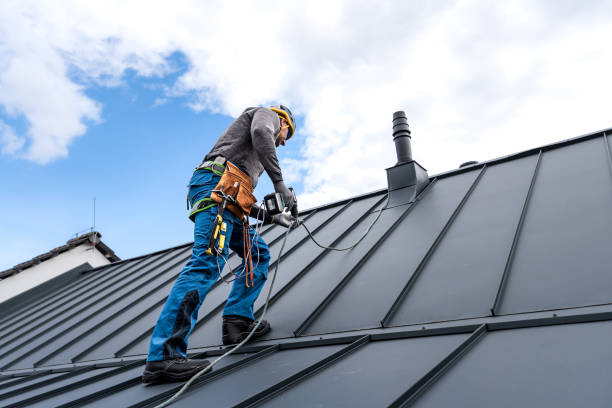 Best Solar Panel Roofing Installation  in Arbuckle, CA