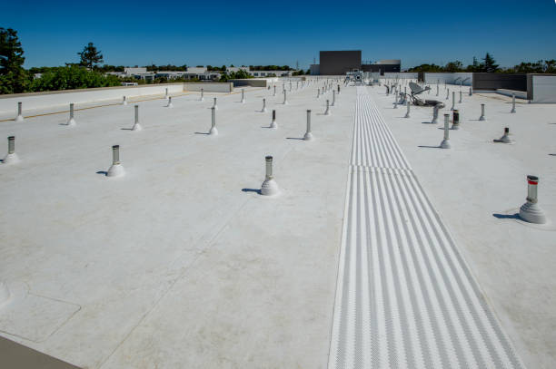 Best Roof Insulation Installation  in Arbuckle, CA